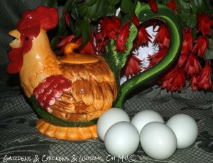Alice's-egg-&-rooster-teapot