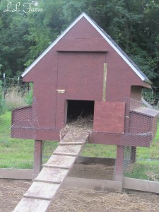 repurposed chicken coop