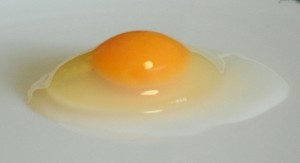 heart healthy eggs CC-Chilson