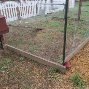 showing new area, opening and ladder to garden, grass and straw area