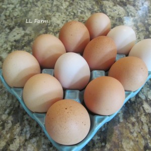 eggs in ceramic holder