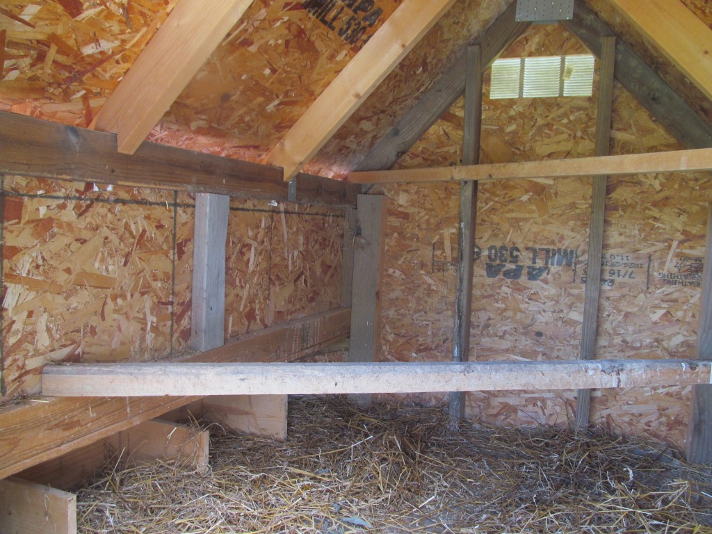 inside of coop showing vent, roosts, and nesting boxes