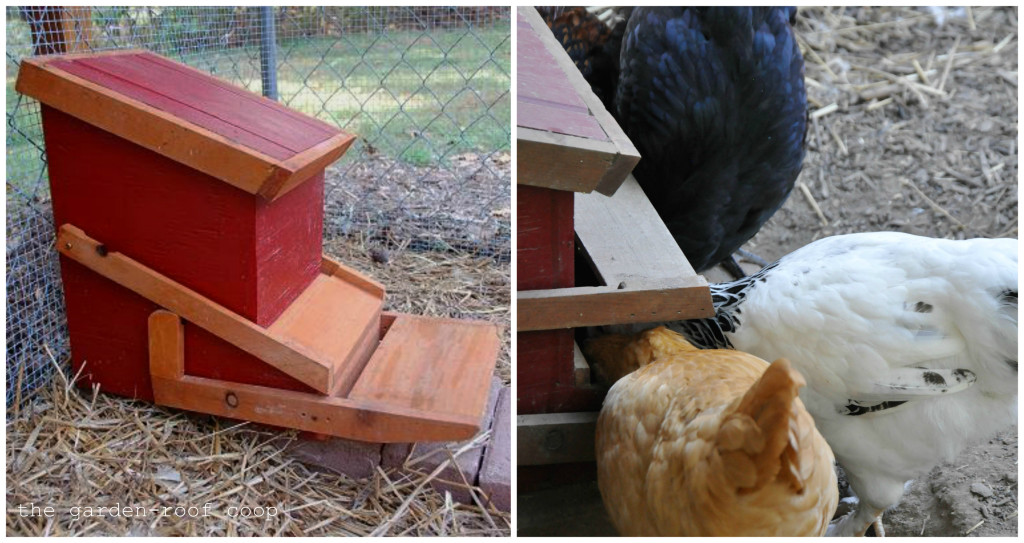 Community Chickens Automatic Feeder