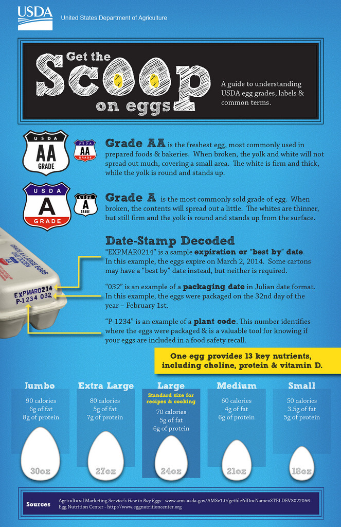 A guide to understanding USDA eggs