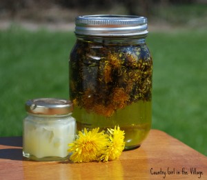 Dandelion Oil Salve. Infuse your own olive oil with dandelions picked from your backyard. Make a salve that is great for not just your skin, but your chicken's comb as well. All natural. 