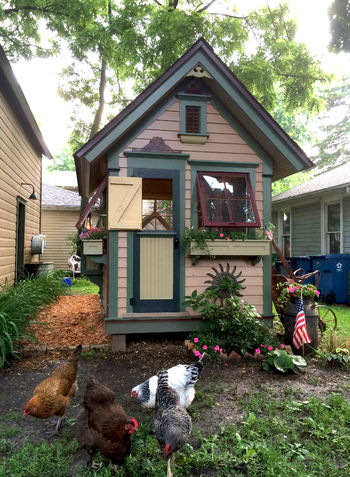 Community Chickens Coop and Flock