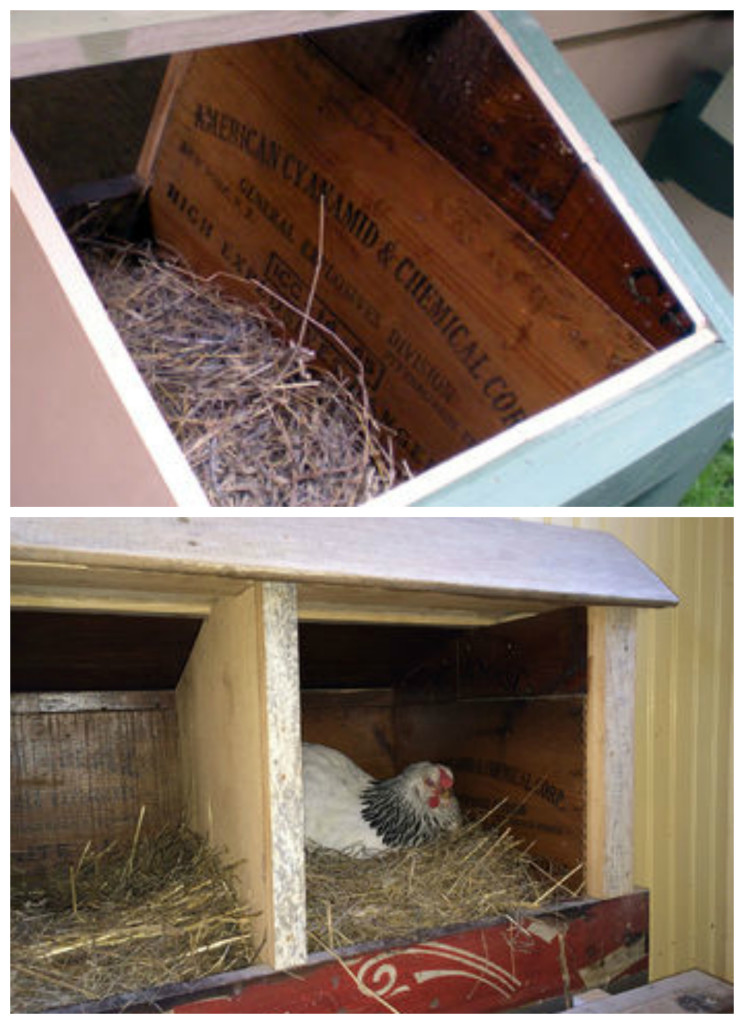 Cool Coops Nesting Box