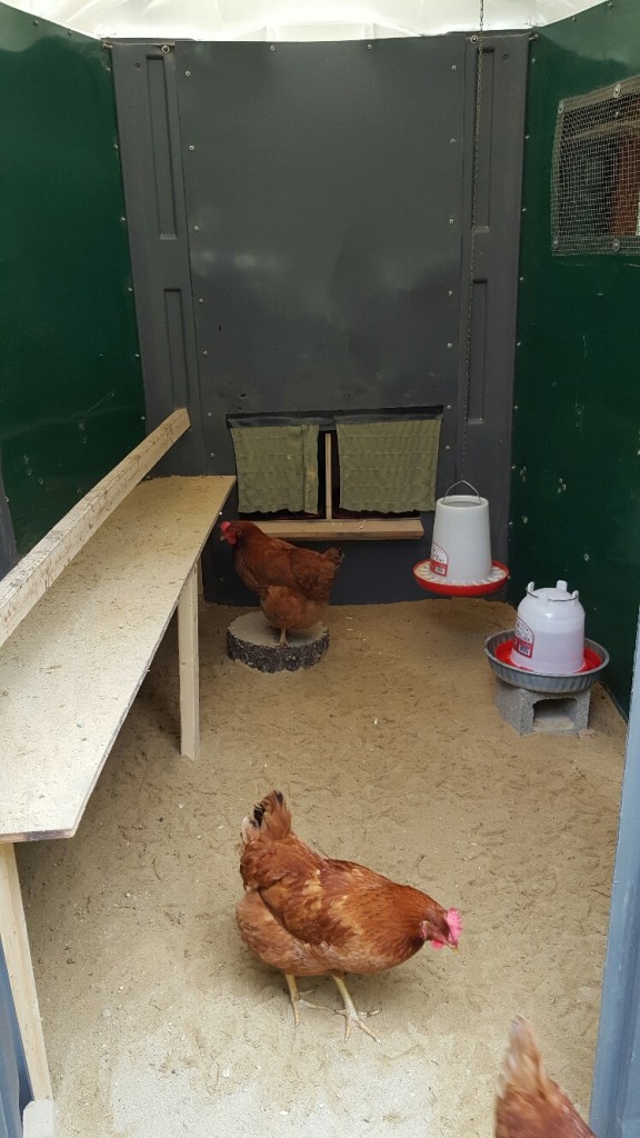 Community Chickens Porta Potty Coop1