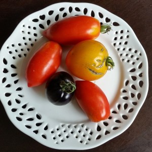 perfectly imperfect tomatoes from the garden