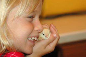 Kid-with-chick