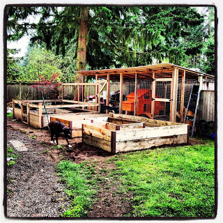 Cool Coops! ~ The Beach Shack | Community Chickens