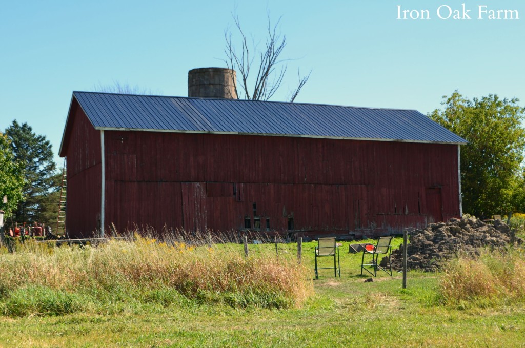 Heeding the Call of a Historic Structure | Community Chickens