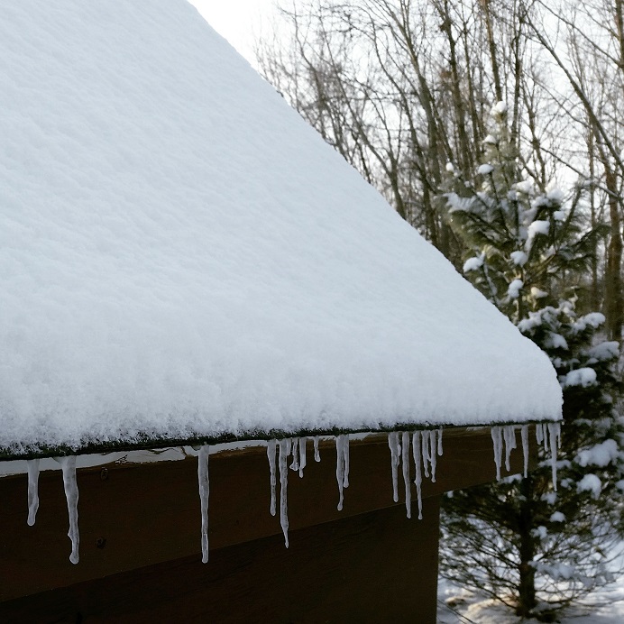 Chicken Keeping Through The Winter (The Natural Way) | Community Chickens