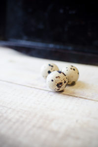 Quail Eggs