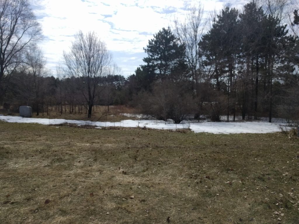 Side yard with brown grass and snow