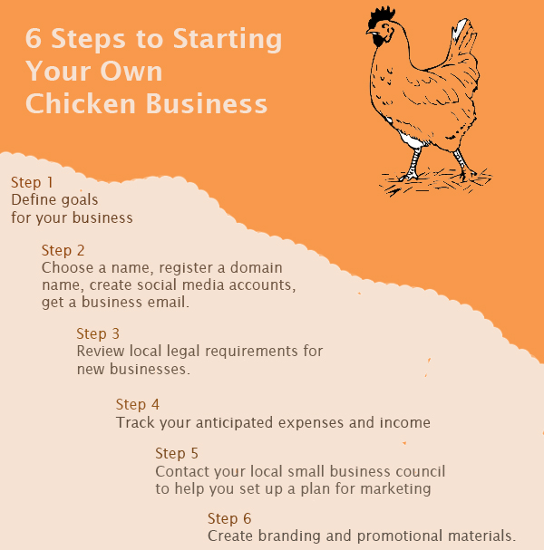 How To Start A Chicken Business Community Chickens