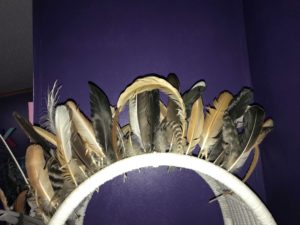 Displaying feathers