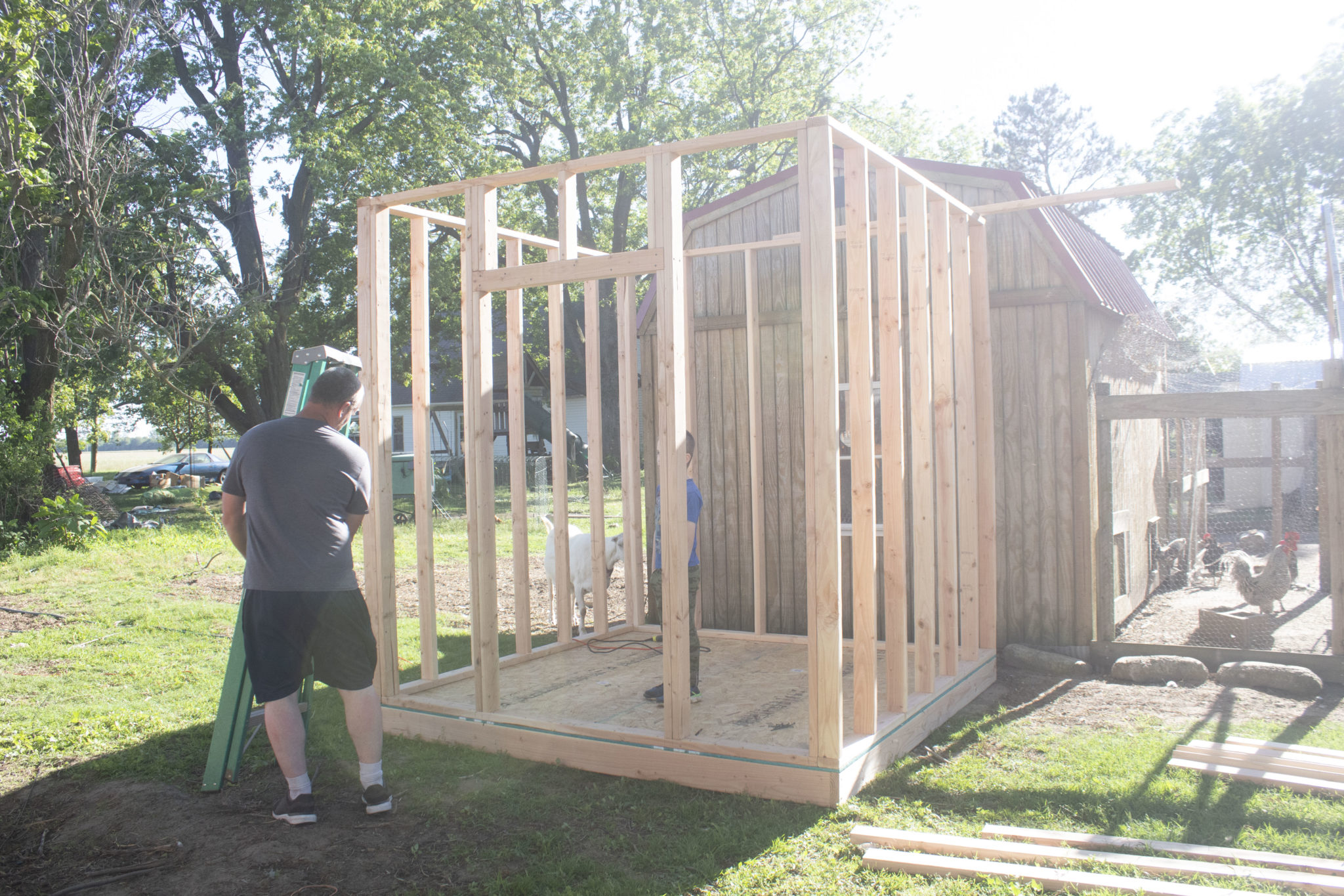 Build An 8x8 Chicken Coop For Under $400 | Community Chickens